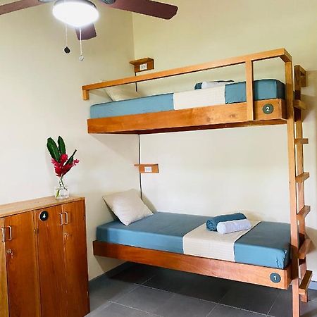 El Hostel Del Patio Tortuguero Extérieur photo