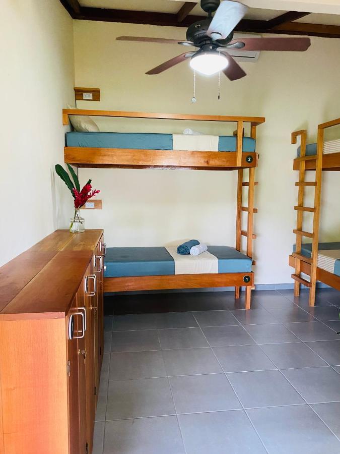 El Hostel Del Patio Tortuguero Extérieur photo