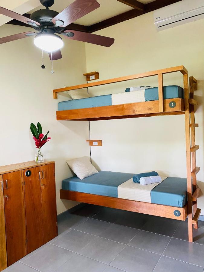 El Hostel Del Patio Tortuguero Extérieur photo