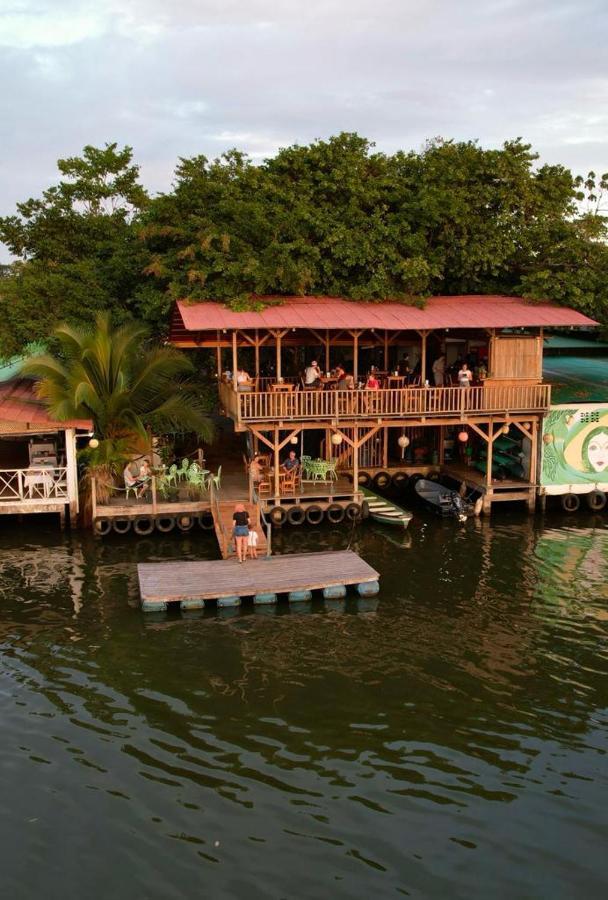 El Hostel Del Patio Tortuguero Extérieur photo