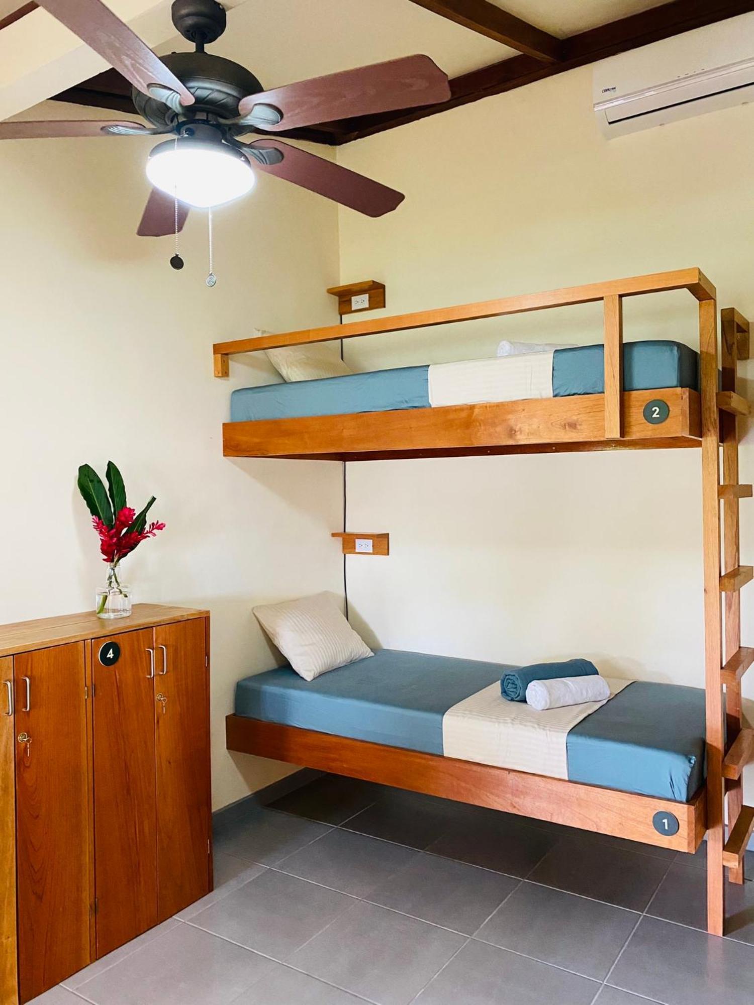 El Hostel Del Patio Tortuguero Extérieur photo