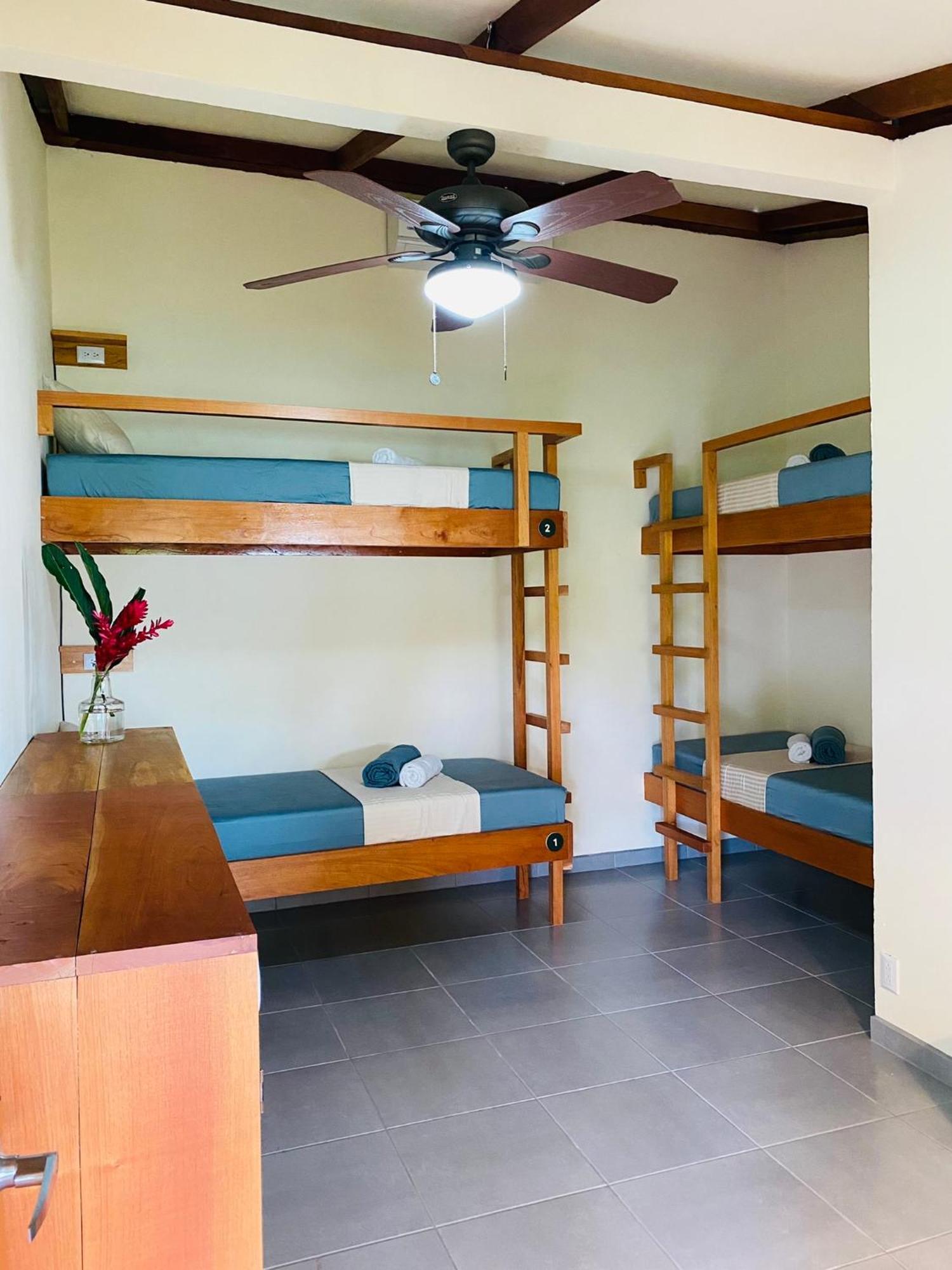 El Hostel Del Patio Tortuguero Extérieur photo